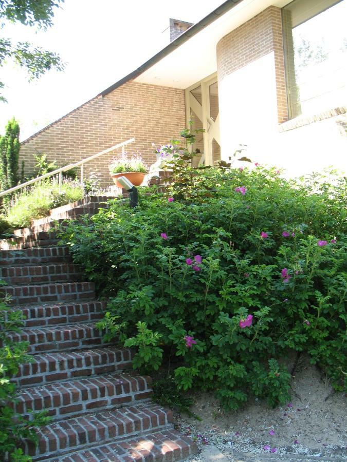 B&Logies De Duinroos Koksijde Bed & Breakfast Eksteriør bilde